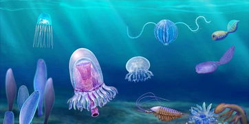 清江生物群打開寒武紀 新寶藏