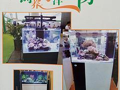 專業海洋生物魚缸選購指南 水藍玻璃制品公司如何為您打造理想水族世界